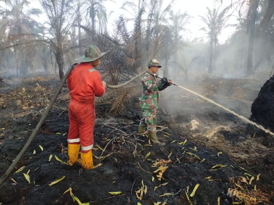 Hari Ketiga Penanganan Karhutla, Kodim 0320/Dumai Bersama Tim Gabungan Padamkan Kebakaran