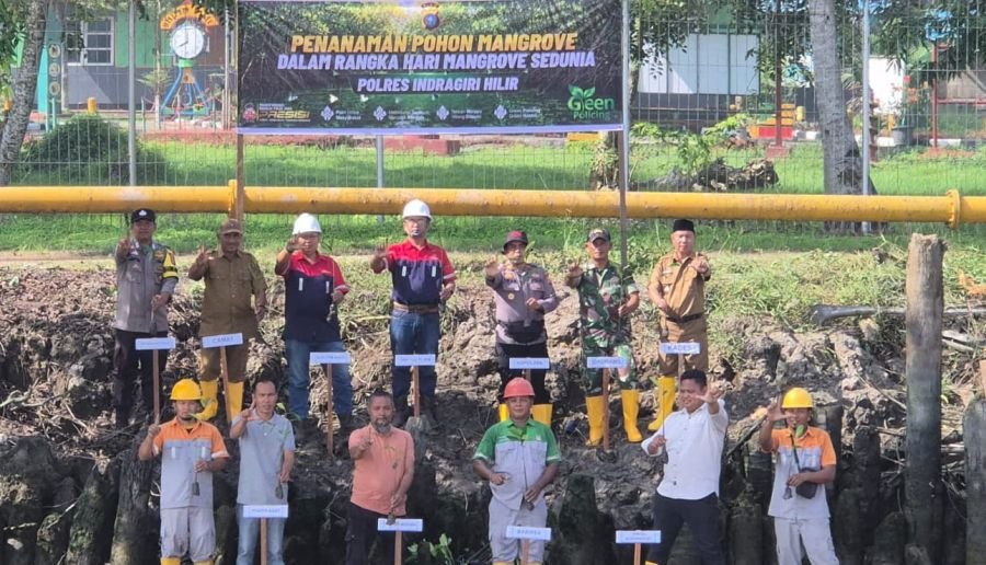Hari Mangrove Sedunia, Koramil 10/Pelangiran Dukung  Penanaman Mangrove Perkuat Pelestarian Pesisir