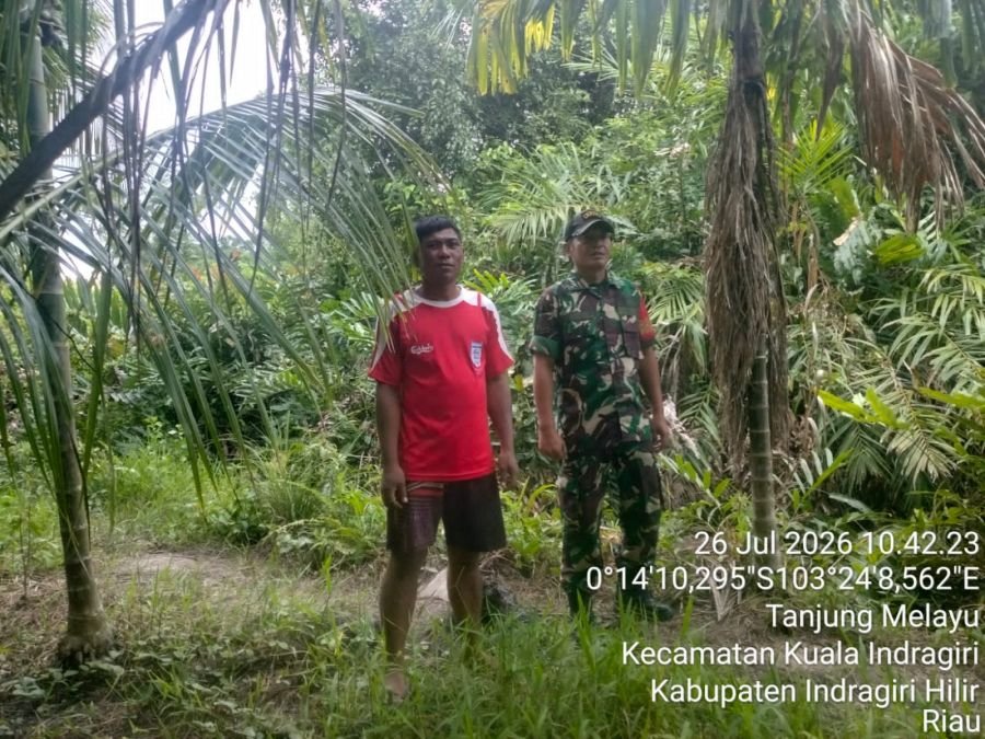 Hasil Nihil, Patroli Tapal Batas Babinsa 04/KDR di KuaIa indragiri Pastikan Wilayah Bebas Karhutla