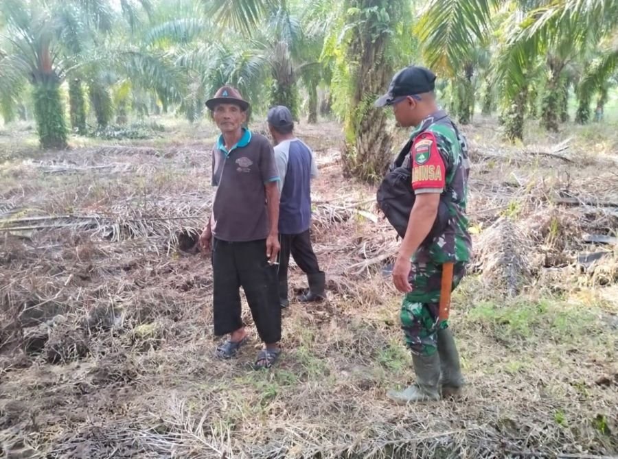 Hasil Patroli Nihil Titik Api, Babinsa 09/Kemuning Imbau Warga Hindari Bakar Lahan