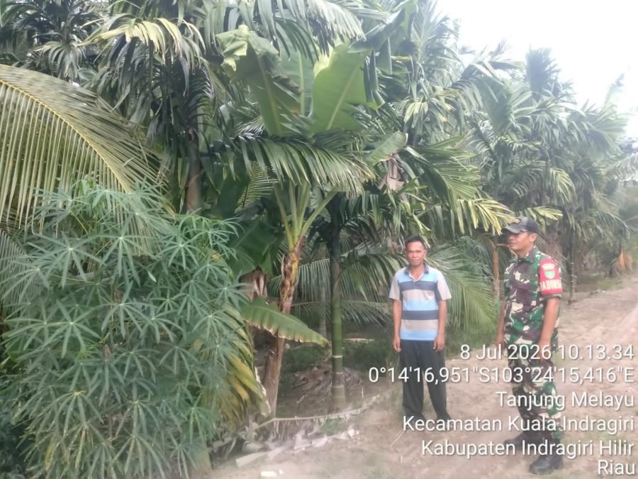 Hasil Patroli Tapal Batas Babinsa 04/Kuindra di Tanjung Melayu Nihil Titik Api dan Asap