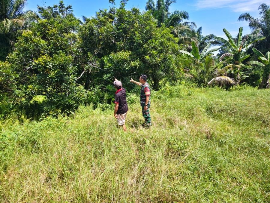 Hotspot Nihil, Babinsa Sungai Ambang Terus Intensifkan Upaya Pencegahan Karhutla