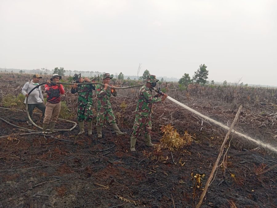 Hujan Deras Bantu Pemadaman, Hari Ketiga Penanganan Karhutla di Tasik Tebing Serai Berlanjut