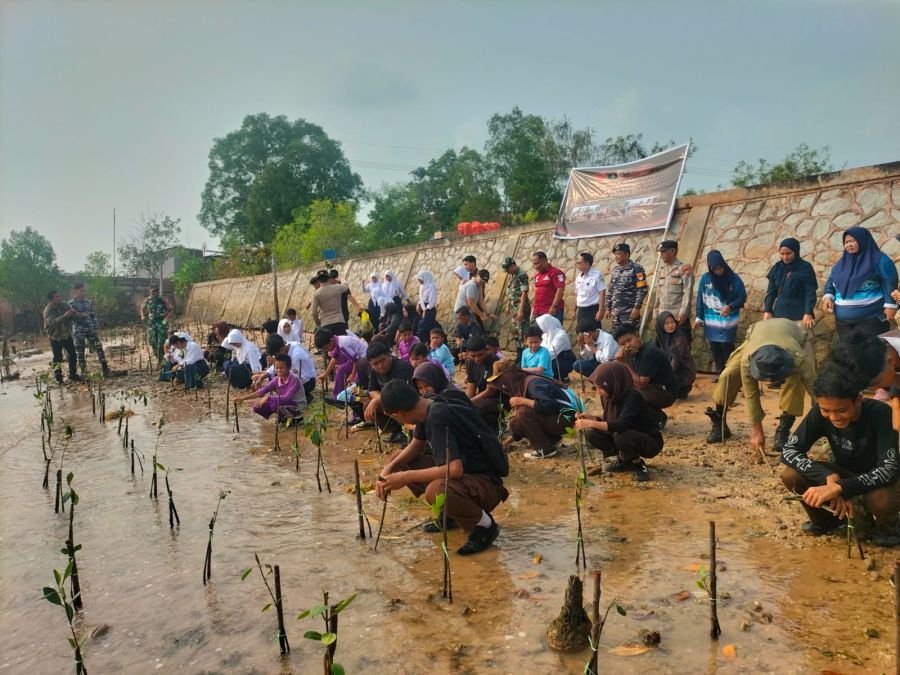 HUT TNI ke-81, Personel Koramil 02/Moro Hijaukan Pesisir Desa Pauh Seribu Mangrove Ditanam 