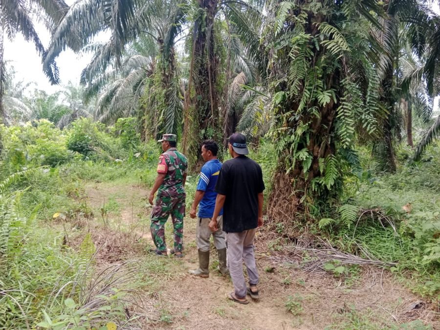 Jaga Alam Tetap Lestari, Babinsa 09/Kemuning dan Warga Lubuk Besar Kompak Cegah Karhutla