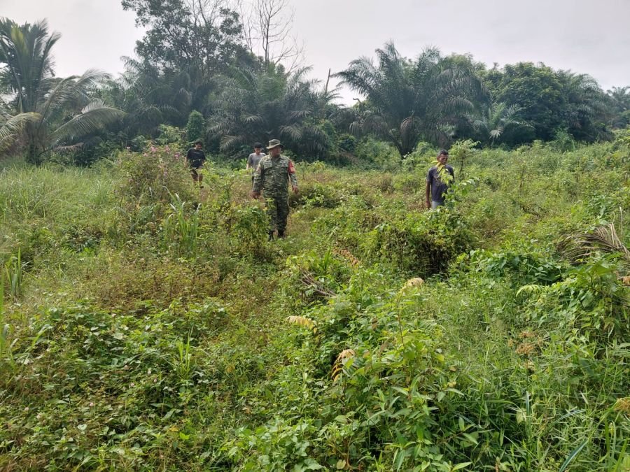 Jaga Darul Aman dari Ancaman Api, Babinsa Koramil 04/Rupat Turun Langsung ke Lahan Rawan
