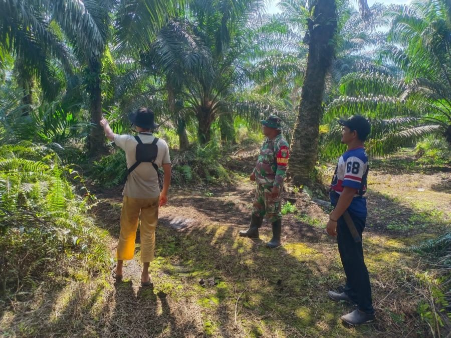 Jaga Desa dari Ancaman Api, Babinsa dan Warga Bandar Jaya Sisir Titik Rawan Karhutla