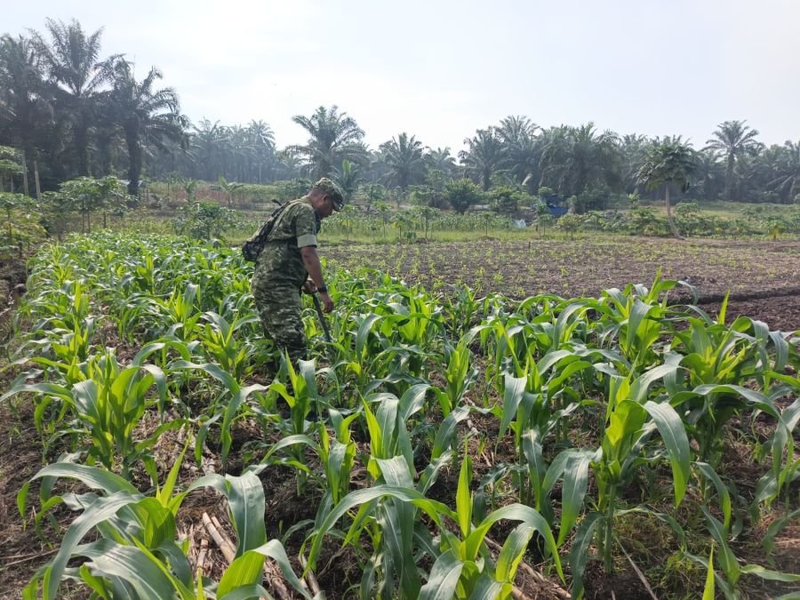 Jaga Keberlanjutan Ecopark, Sertu Awaluddin Lakukan Perawatan Tanaman di Simpang Bangko