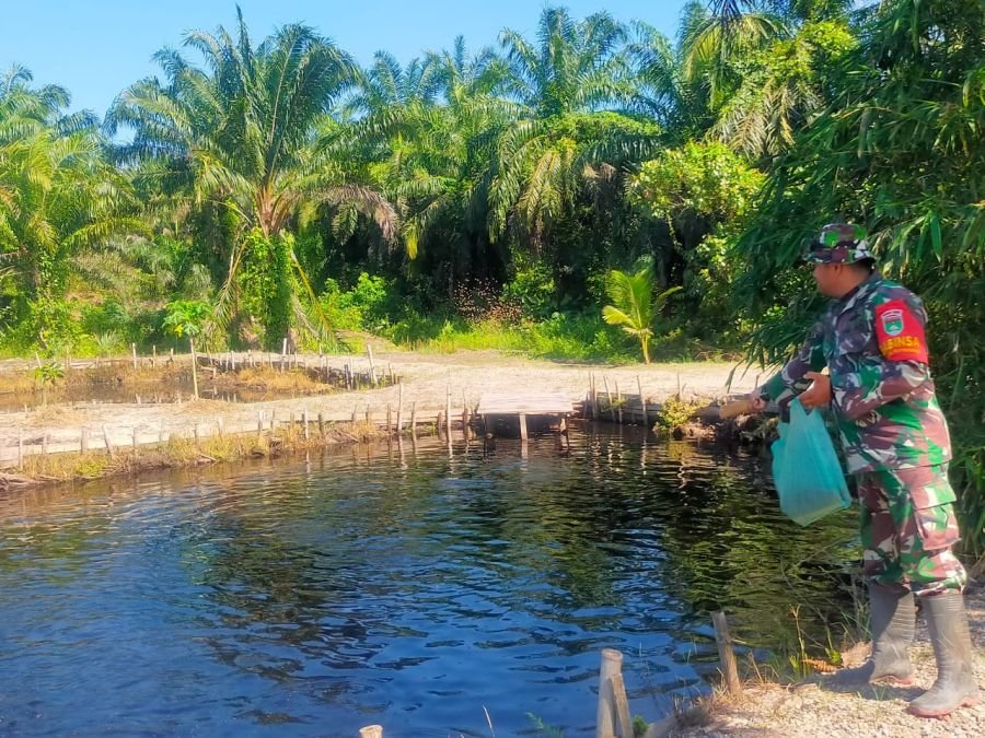 Jaga Kelestarian Kawasan, Koptu Mukshin Khan Lakukan Perawatan Kolam Ikan di Ecopark