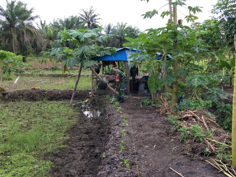 Jaga Kelestarian Kawasan Percontohan, Serda ML Silaban Lakukan Perawatan Rutin Tanaman di Ecopark