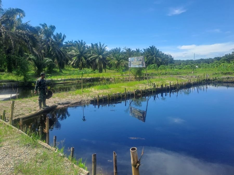 Jaga Ketahanan Pangan, Sertu Joni.R Lakukan Perawatan Tanaman di Lokasi Ecopark Simpang Bangko