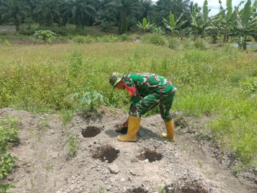 JAGA PERTUMBUHAN TANAMAN, SERKA S. HANDOKO LAKSANAKAN PERAWATAN DI ECOPARK SIMPANG BANGKO