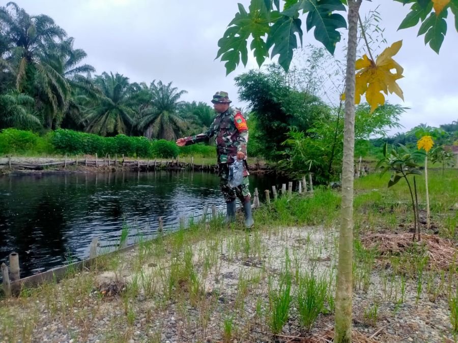 JAGA PRODUKSI PANGAN, KOPTU MUKSHIN KHAN LAKSANAKAN PEMELIHARAAN KOLAM IKAN DI ECOPARK