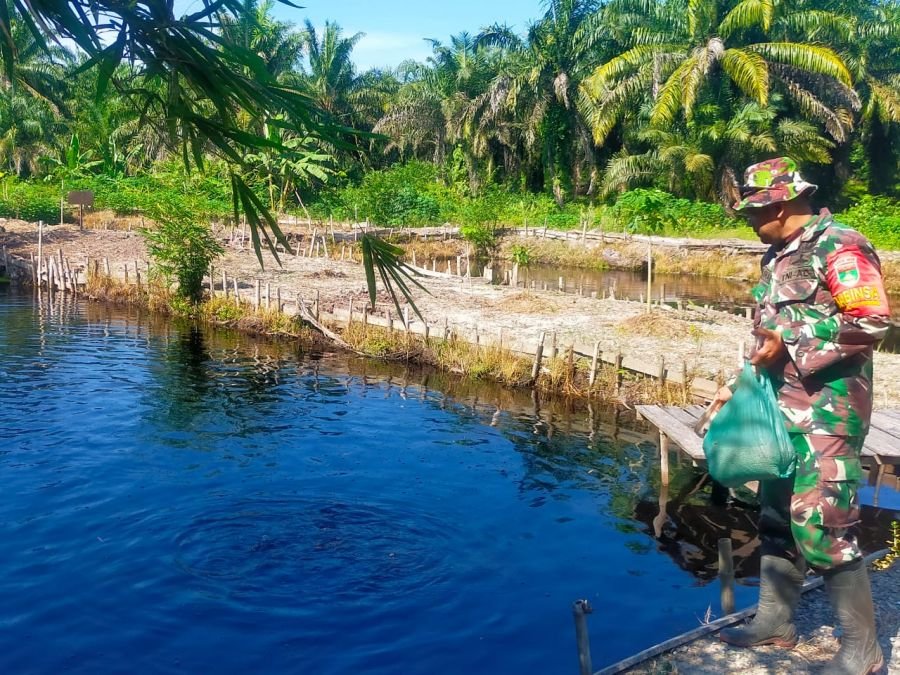 Jaga Produktivitas Kolam Demplot, Koptu M. Khan Pakan Ikan di Ecopark Simpang Bangko