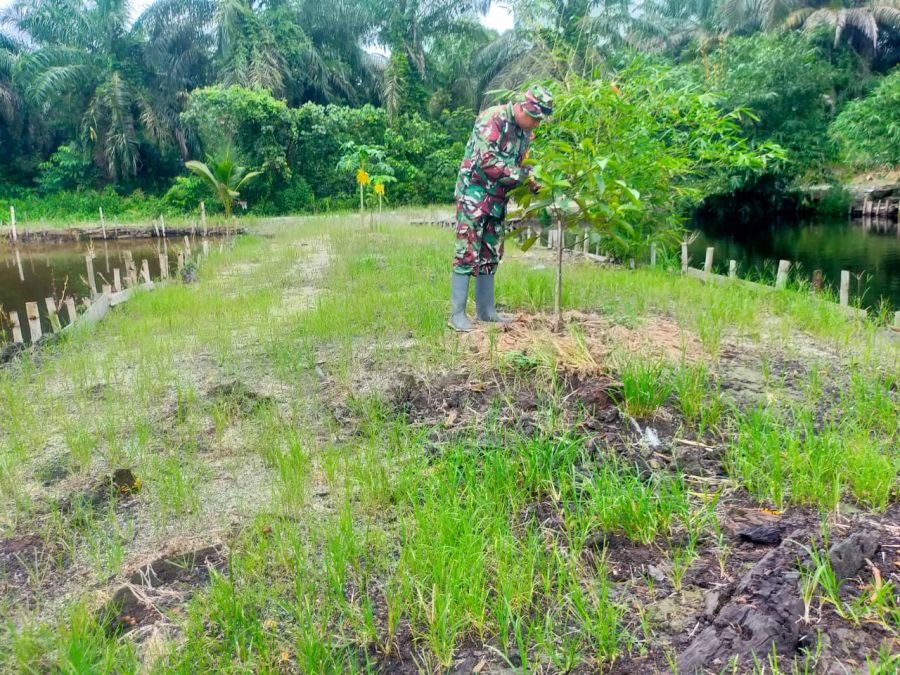 JAGA PRODUKTIVITAS, KOPTU MUKSHIN KHAN LAKSANAKAN PEMELIHARAAN KOLAM IKAN DI ECOPARK SIMPANG BANGKO