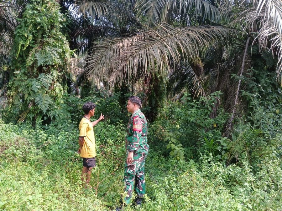 Jelang Musim Rawan Kebakaran, Babinsa Sungai Ukai Gencarkan Patroli dan Sosialisasi Karhutla