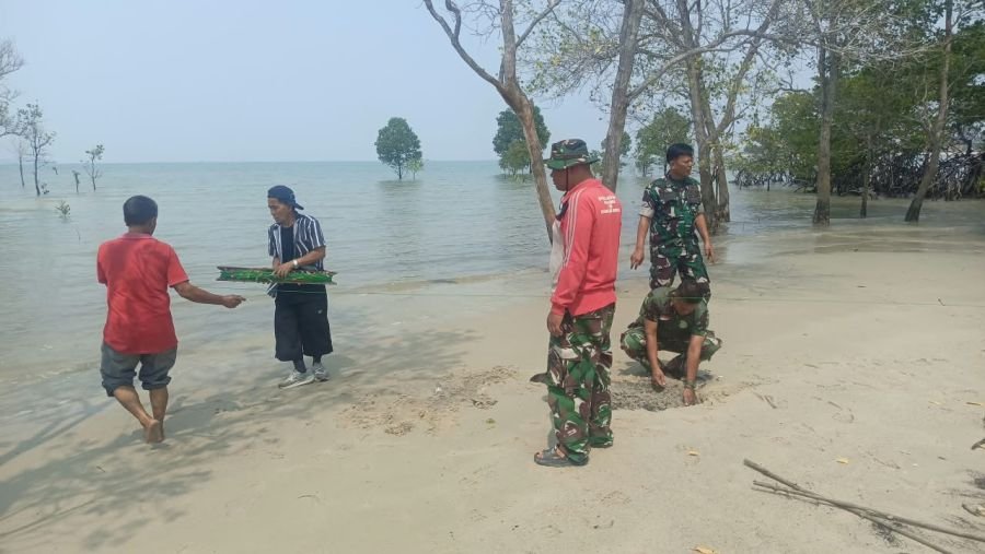 Jelang Tanam Mangrove, Personel Koramil 04/Tebing Bersihkan Lokasi