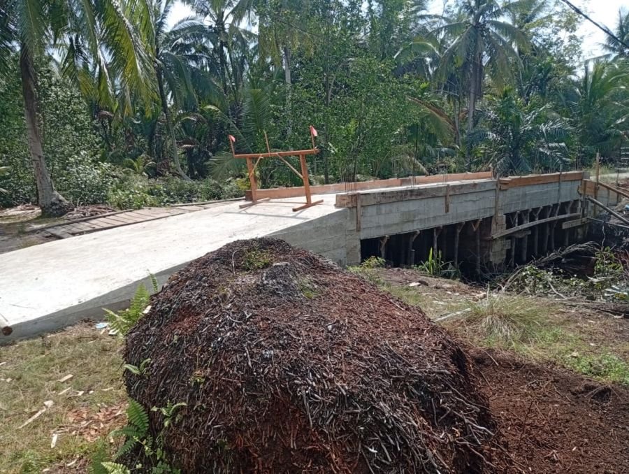 Jembatan Garuda Capai 82 Persen, Akses Tebun–Repan Segera Terhubung