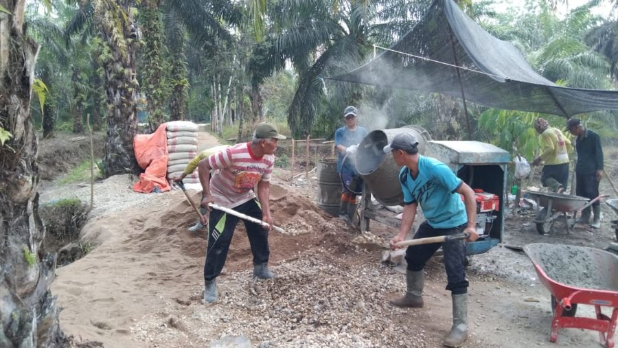 Jembatan Beton Tanjung Sari Masuk Tahap Pengecoran Lantai Atas
