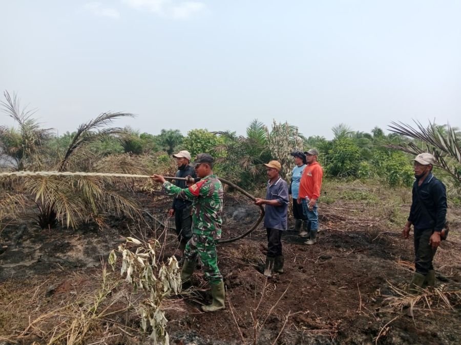 Karhutla 4 Hektare Terkendali, Babinsa 03/Tpl dan Tim Fokus Cegah Api Kembali