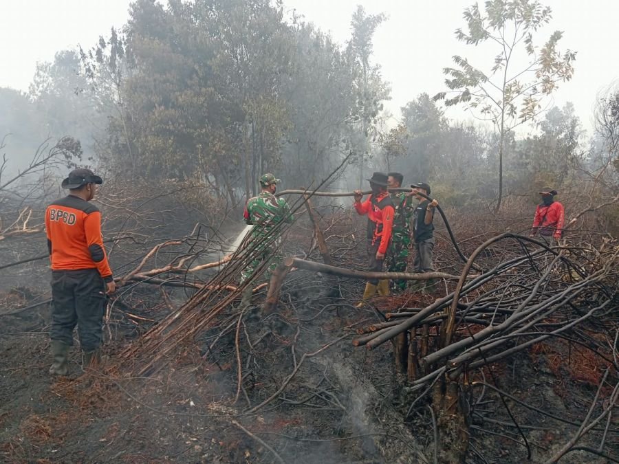 Kodim 0303/Bengkalis Pimpin Pemadaman Karhutla Seluas 1 Hektare di Bengkalis