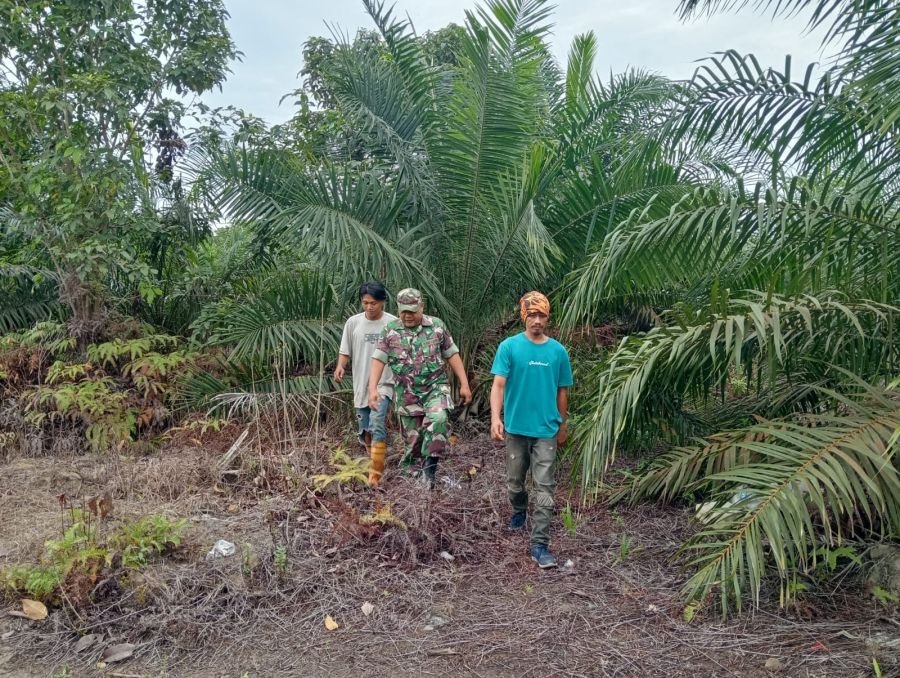 Karhutla Jadi Perhatian, Babinsa Koramil 04/Perawang Pelda Syafri dan Warga Turun ke Lapangan