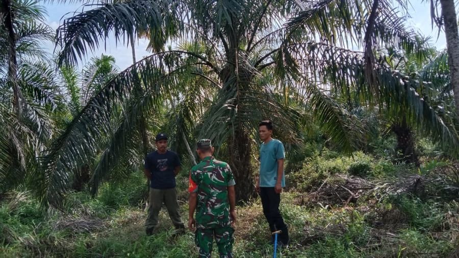 Karhutla Jadi Prioritas, Babinsa 07/Reteh Rutin Patroli di Wilayah Binaan