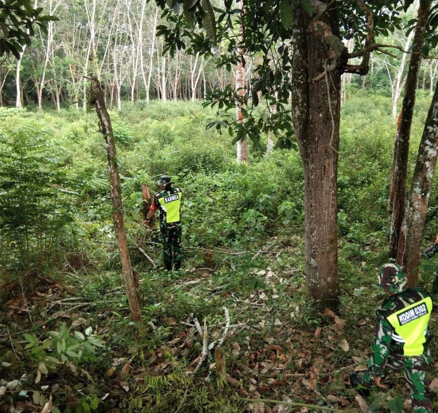 Karhutla Kembali Jadi Perhatian, Babinsa Bergerak di Sungai Paku