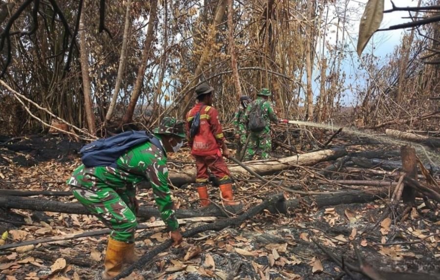 Karhutla Melanda Sungai Guntung Hilir, Babinsa Rengat Bergerak Cepat