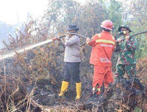 Karhutla Pelangiran Masuk Hari Kedua, Tim Gabungan Fokus Pendinginan