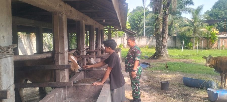 Kawal Kesehatan Ternak, Babinsa Rimba Melintang Sisir Kandang Warga