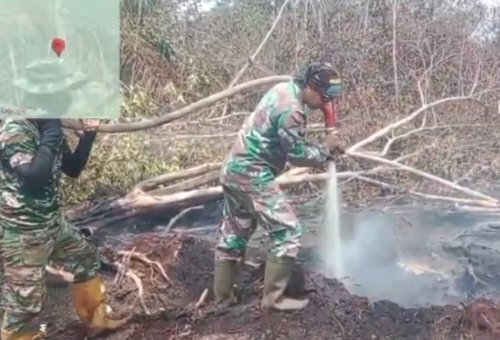 Kebakaran di Desa Pulau Gajah, Babinsa Koramil 01/Rengat Turun Langsung Bantu Pemadaman