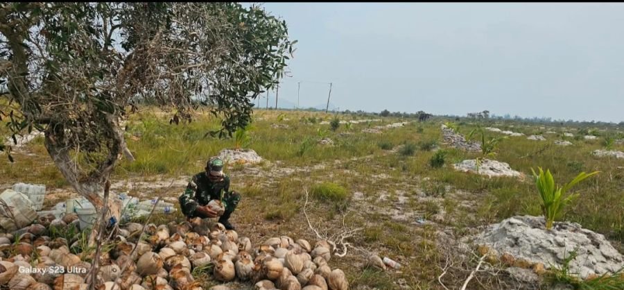 Kegiatan Komsos Babinsa Memberikan Masukan kepada Petani Kelapa

Kegiatan Komsos Babinsa Memberikan