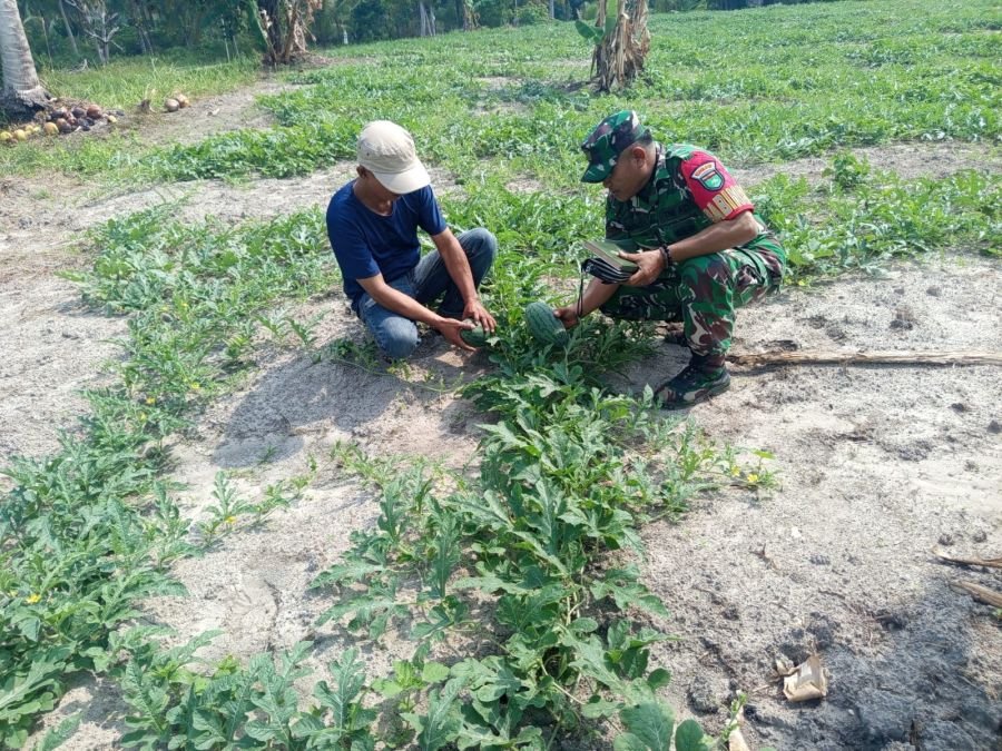 KEGIATAN KOMUNIKASI SOSIAL (KOMSOS) DAN MONITORING KEBUN SEMANGKA BUMDES JERMALIK DALAM RANGKA MENDU