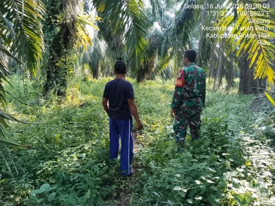 Kegiatan Patroli Karhutla di Wilayah Koramil 0321- 02/TP.