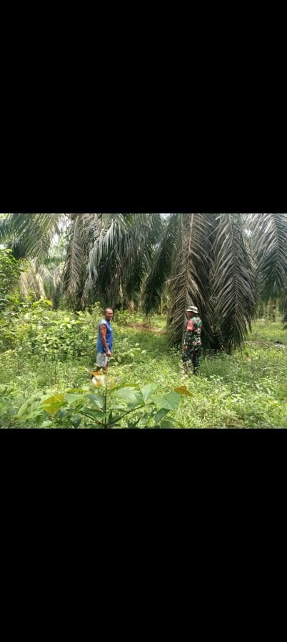 Kegiatan Penanggulangan Karhutla di wilayah Koramil 02/Sungai Apit pada Rabu, 13 Mei 2026