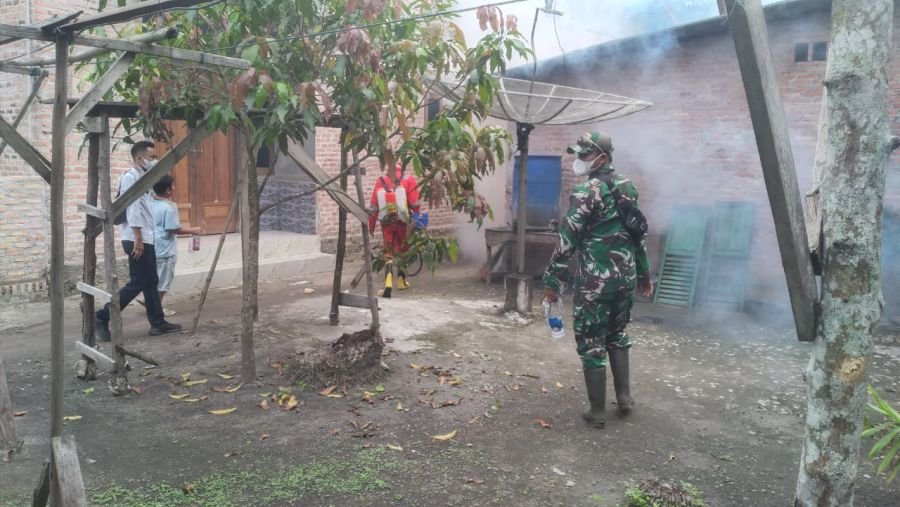 kegiatan Pencegahan gejala Yamuk DBD di kep. labuhan papan, kec. tptm, kab. rohil