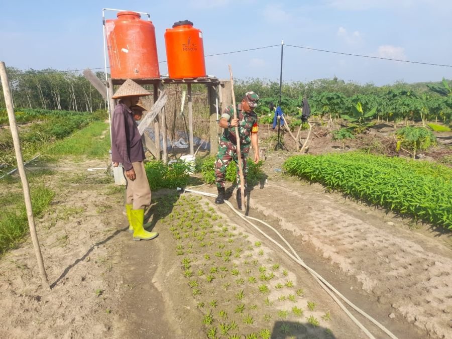 Kegiatan Pendampingan Ketahanan Pangan Sayur Kacang Panjang dan kangkung