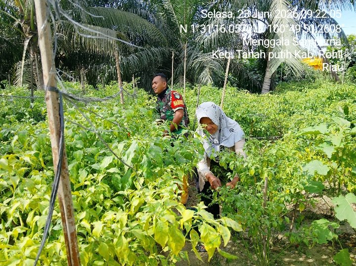 kegiatan pendampingan Ketahanan Pangan di wilayah Koramil 0321-02/TP