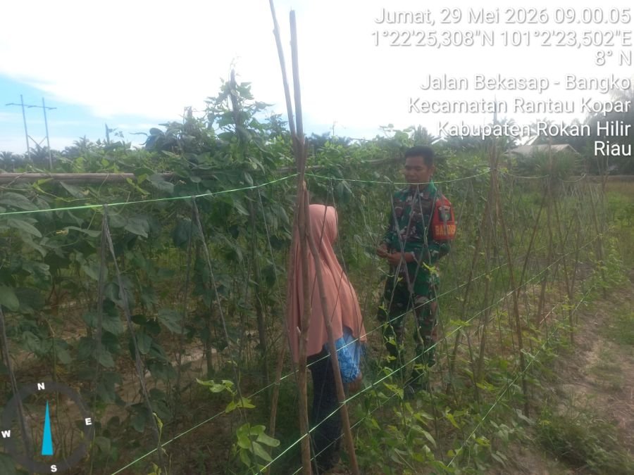 Kegiatan Pendampingan Pengelolaan Program Ketahanan Pangan di Koramil 02/TP