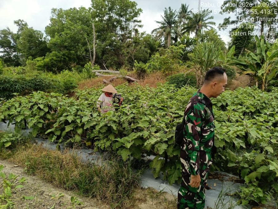 *Kegiatan Pendampingan Pengelolaan Program Ketahanan Pangan*