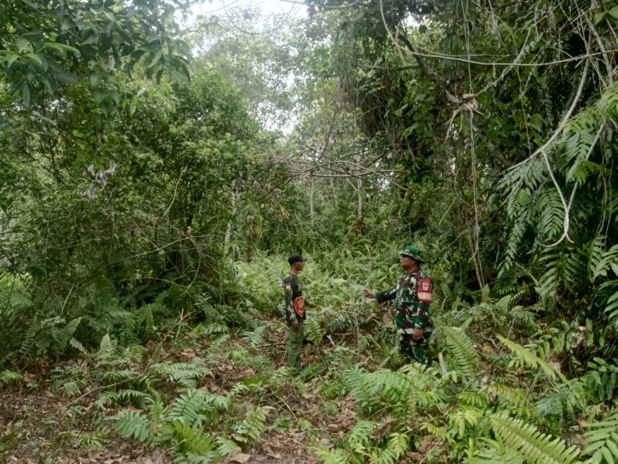 Kegiatan Rutin Babinsa Sertu Syafrizal dan Kopda Limbong Patroli Karhutla