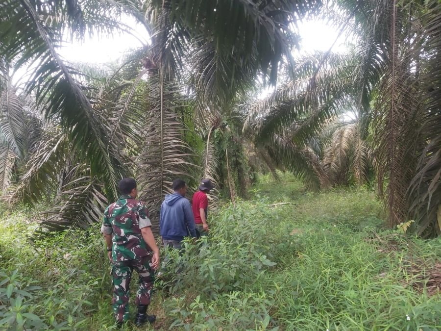 Kemarau Mengancam, Serda Deddy Perkuat Patroli Karhutla di  Kp Tualang