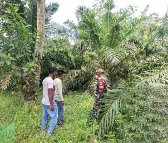 Kemarau Meningkat, Sertu Sarju Babinsa Koramil 04/Perawang Perkuat Patroli Cegah Karhutla di Tualang