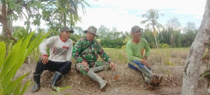 Ketahanan Pangan Jadi Fokus, Serka M. Maihasan Gelar Komsos Dengan Kelompok Tani