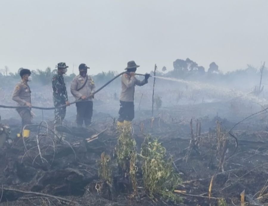 Kodim 0320/Dumai
Babinsa Kelurahan Batu Teritip Laksanakan Verifikasi, Pemadaman dan Pendinginan