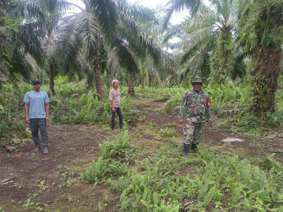 Komitmen Cegah Karhutla, Babinsa Koramil 05/Bukit Batu Patroli Bersama Warga di Desa Linau