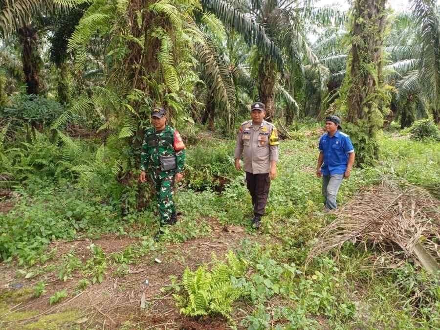 Kompak! TNI-Polri Gelar Patroli Tapal Batas, Sisir Wilayah PT BNS Desa Rotan Semelur Titik Api Nihil