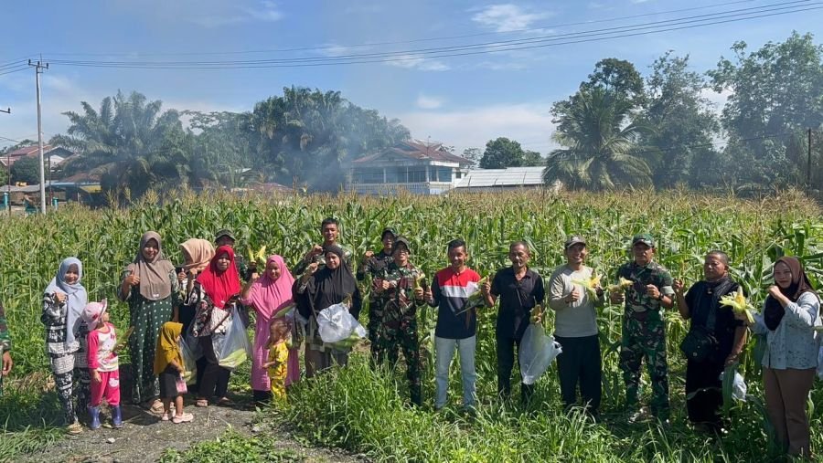 Kompi Markas Yonif TP 850/SC Gelar Panen Raya Bersama Warga