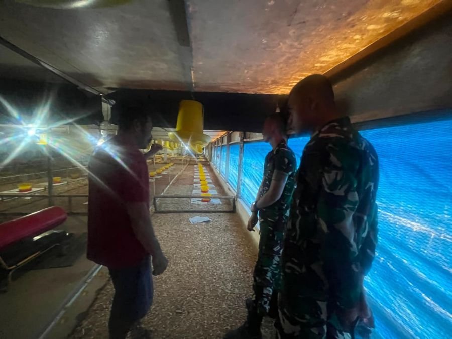 Yonif TP 850 Edukasi Warga Kembangkan Ternak Ayam Demi Ketahanan Pangan